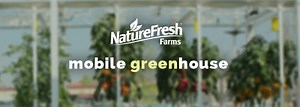 CTV News Spotlights NatureFresh Farms and Loblaw's Locally-Grown Initiatives