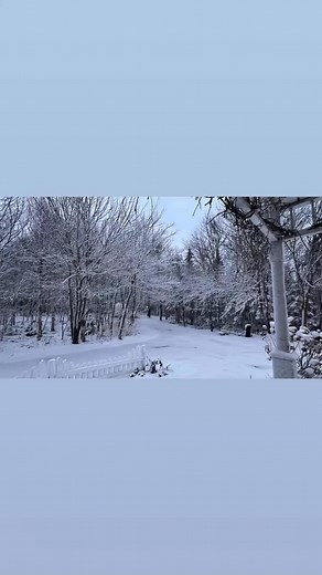 Something magical about the first snowfall of the season ! Happy Monday, | Michelle Hardy Fillmore