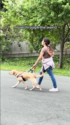 What is a Guide Dog Mobility Instructor? #GuideDog
