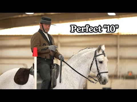 Score a "10" at Switch Cup in Working Equitation if you do these 6 things!