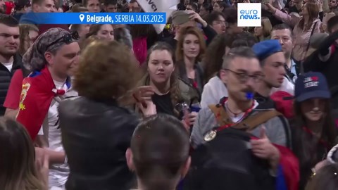 Tens of thousands protest in Belgrade against President Vucic's government