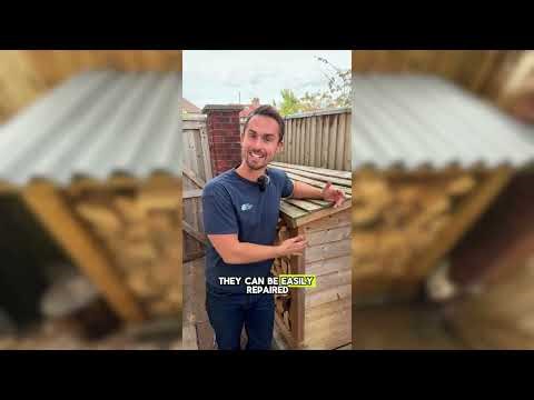 Case Studies: Michael's Log Storage Area