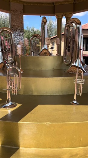 Busiswa's New Instrument Unveiled!