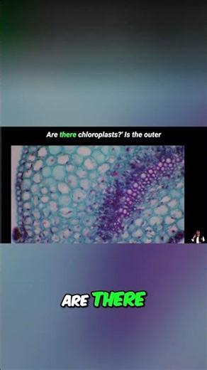 Ace Biology Images: Find Evidence, Not Assumptions! #shorts