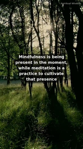 Mindfulness vs Meditation