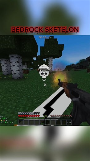 java vs bedrock SKELETON