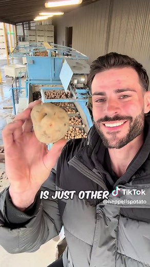 Understanding Seed Potatoes for Successful Planting