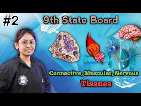 Types of Tissues | Introduction to biotechnology #2 | 9th STATE BOARD Marathi