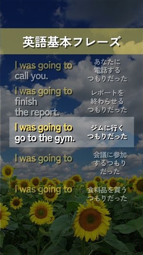 【英語基本フレーズ No.049】I was going to 動詞. （～するつもりだった）