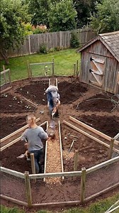 Chicken+Garden= The Ultimate Backyard Setup