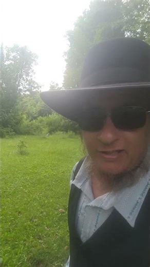 Here is my Amish Dog