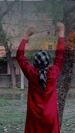 Haider karar..🙌🏻 #viralvideo #unfrezzmyaccount #fyp #actionman