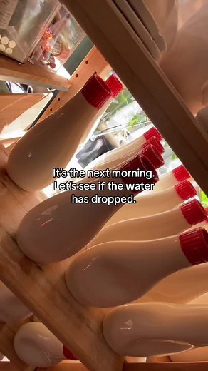 Why do we need to do this? We are currently using earthenware clay cos it doesnt shrink much, the clay colour is a nice cream and the the red lid keeps its vibrancy when fired. But it doesnt vitrify so the only way it’s water tight is if you glaze it. Sometimes there is a crawl in the glaze or its too thin and the water can get through. #ceramics #asmr #qc #testing #pottery #homedecor #fyp