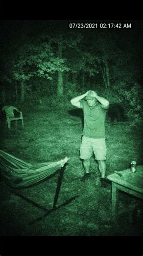 THE BEAR NEVER FORGET - AND YOU? #shorts #CCVT