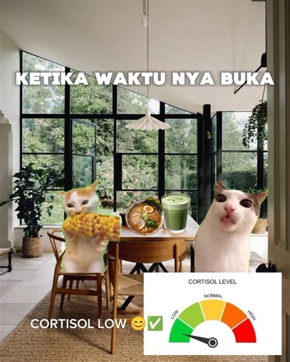 AKU NAK LAPERR!!! 💥🔥 #kucing #viral #ramadan #popular #pov #fyp #foryou #foryoupage