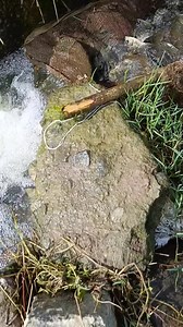 26K views · 190 reactions | Old model fish trap #reels | Anbu Views | Facebook