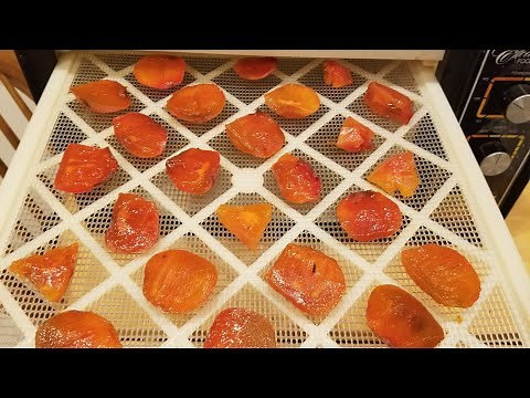 How to Dehydrate Persimmons, Figs & Other Fruits For Winter Treats!