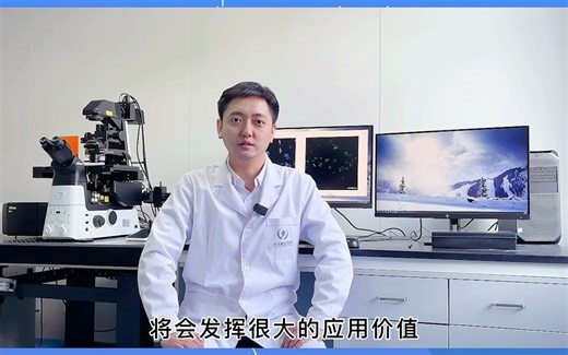 CellLINK细胞膜染料染色教程