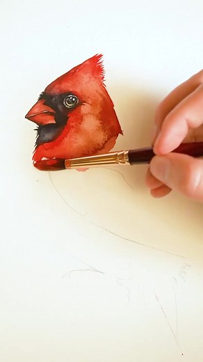 16K views · 550 reactions | Original Available - Northern Cardinal watercolor | Painted Wing | Facebook