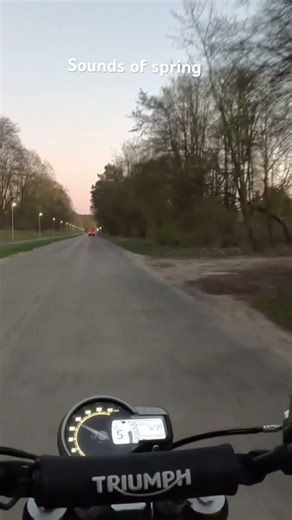 Sonda of spring| triumph scrambler