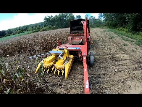 Dion F64 Rotary Head Chopping Sweet Corn