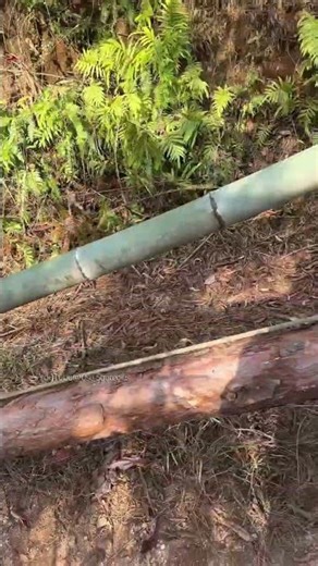 Learn this trick, and you can lift logs alone too.