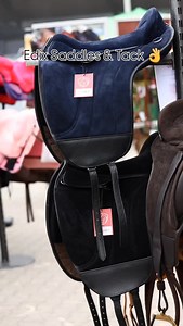 So much yumminess in one short video 🩷 #edixbitlessbridles #horselovers #horseriding #horsesofinstagram #equestrian #holisticequine #edixsaddlepads #edixsaddles #bitlessbridles #bitlessriding #flexidressagesaddle #barebackpad #edixunion | Holistic Equine Saddlery & Tack