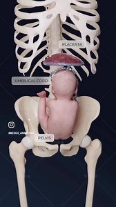 Perfect Animation | Medical Talks