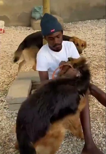 😄 Amadeus en mode détente chez lui 🏡🐶 simplicité et bonheur ❤️✨ #senegal #duet