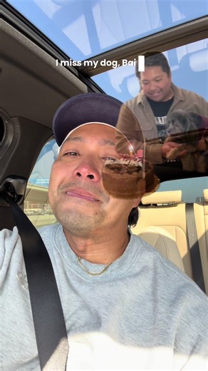 Some days I feel like I got it all together… and others, I’m just scared. I miss my dog Bailey, but I know the fall’s part of the flight. 🕊️ #fyp #trending #findingpurpose #papistrong #motionaltiktok