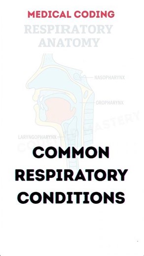 CPC Exam Respiratory Question | Must‑Know Anatomy & Coding Insight! #medicalcoding #shorts