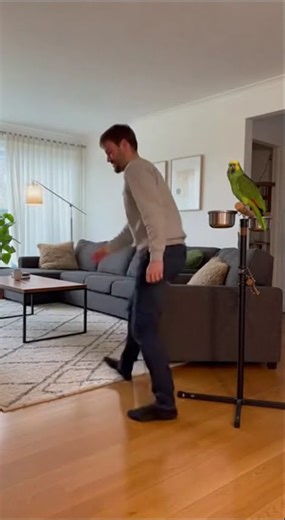 Savage Parrot Roasts a Crying Officer 😂🔥