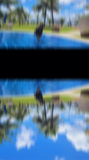 Jillian Alvarez (@jillianalvarez)’s videos with Vacation - Freddy Kalas