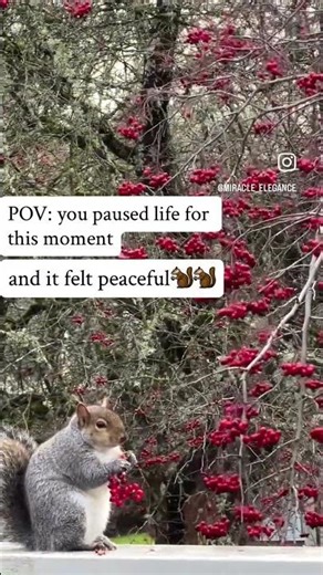 Proof that slowing down changes everything 🐿️🍒
