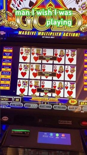 Hand of a lifetime! Dealt royal flush. #videopoker #casino #royalflush