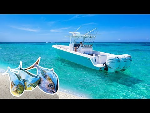 Florida Keys Fishing in Paradise! - Eating our catch RAW on a Sandbar {Mahi Mahi & Tuna}
