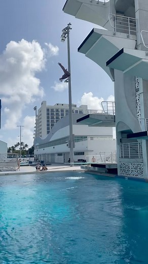 Saylor Hawkins on Instagram: "New dive!!!"