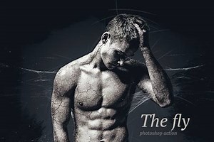Fly Photoshop Action 15197323 - FreePSDvn