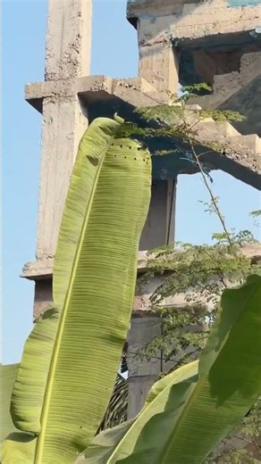 Structural Engineering Bangla | Civil Engineering Learning | Structure Doctor | Momin Mozibul Haque