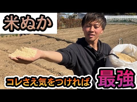 How to use rice bran. What are the advantages and disadvantages? A comprehensive explanation
