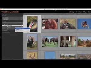 Lightroom Missing Photos - Why it Happens, and How to Fix It.