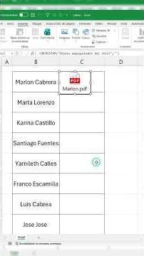 How to insert documents into an Excel cell #excel #yerrihz
