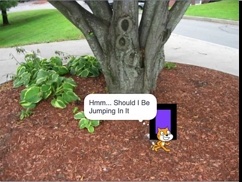 Scratch Cat Enters a Portal – What Happens Next?