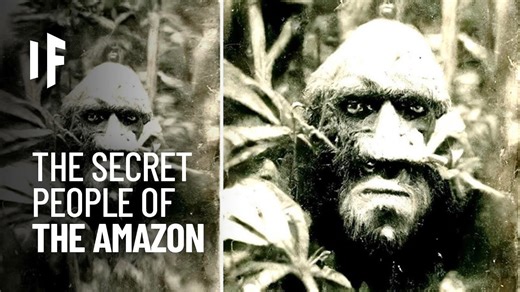 Suppose historians found a hidden Amazon civilization