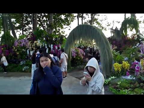 Charming Flower Festival Chaingmai 2025-2026 ep2.
