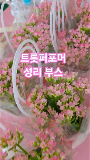 불국산 연화산 봄꽃음악회 성리 부스에서 팬카페 가입도와드려요(260425) #성리 #연화사산사음악회 #성리연화사 #무명전설성리