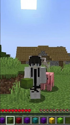 minihud: practical minecraft mod#shorts