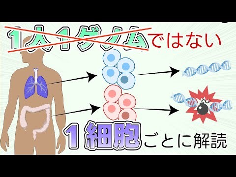【最新研究2025】私達は1人1ゲノムではない？ 1細胞ごとの解析が明らかにする衝撃の真実 #たかとー研究室