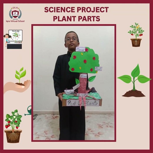 🌿🔬 Science Project: Plant Parts! 🌸✨