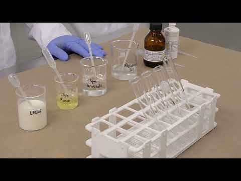 PROTEIN IDENTIFICATION